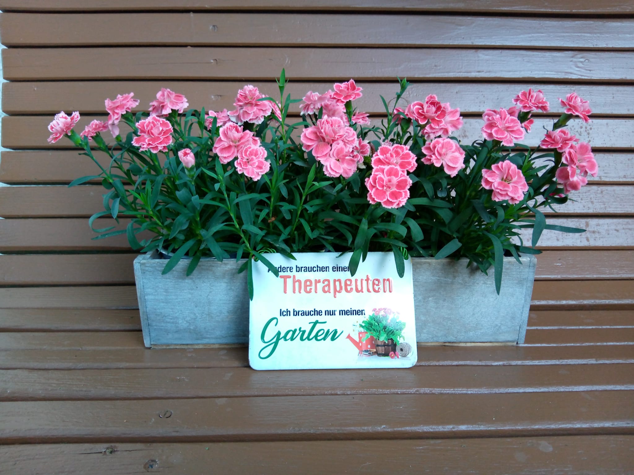 Gartenratsch
